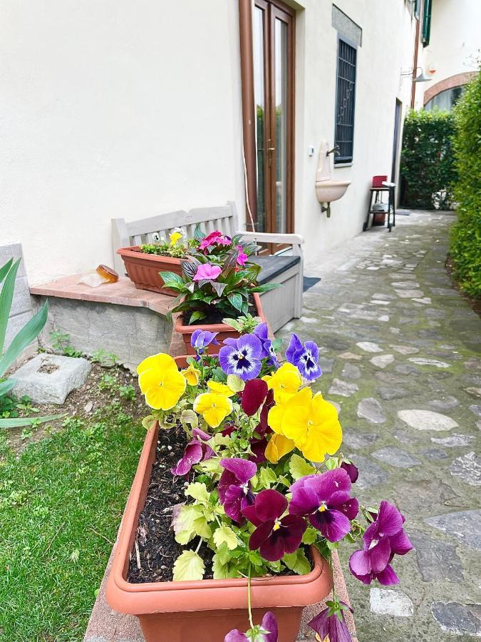 Dalu Florence Apartment Davide - Private Car Park 15 Minutes To The City Center Εξωτερικό φωτογραφία