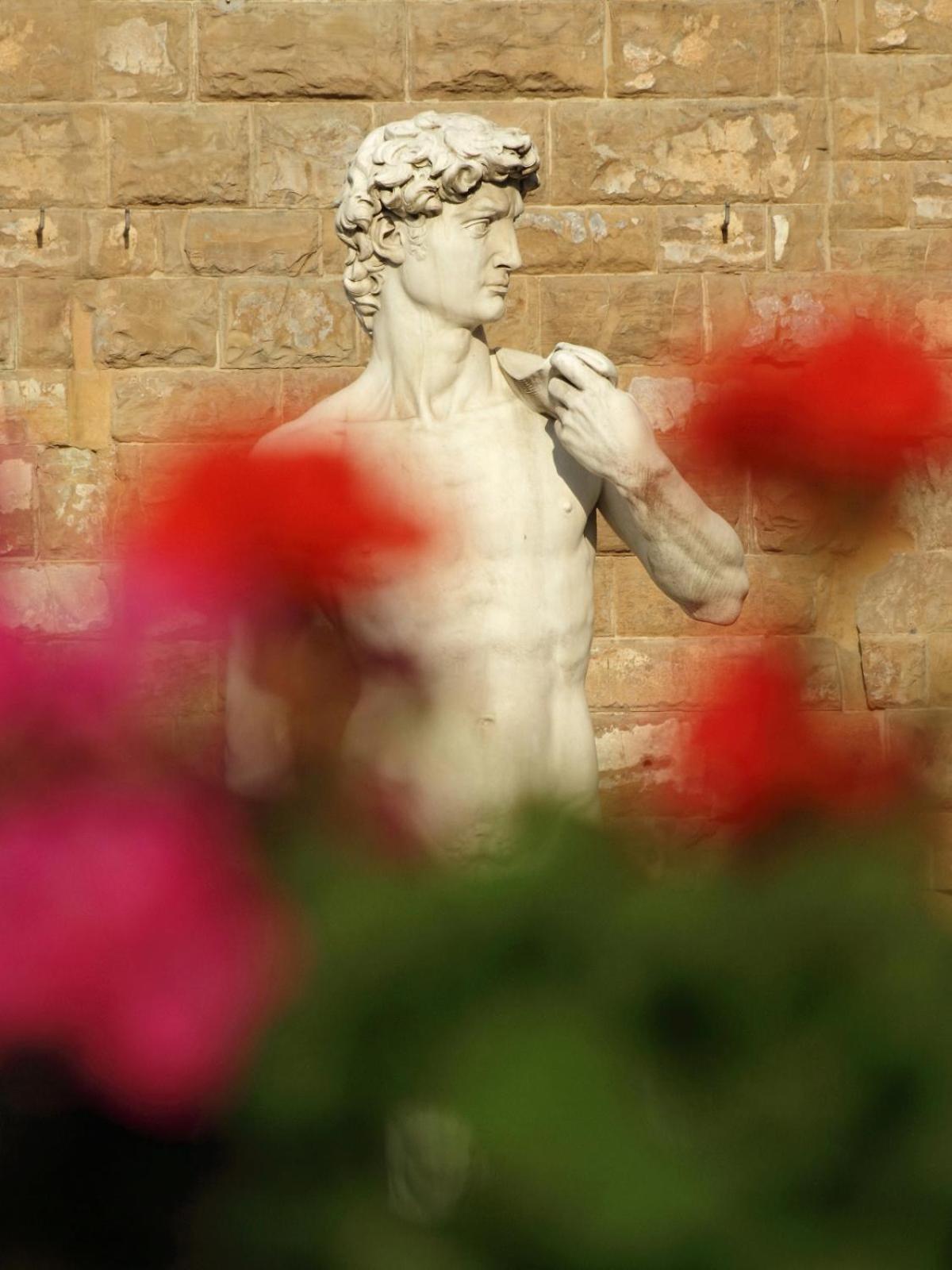 Dalu Florence Apartment Davide - Private Car Park 15 Minutes To The City Center Εξωτερικό φωτογραφία